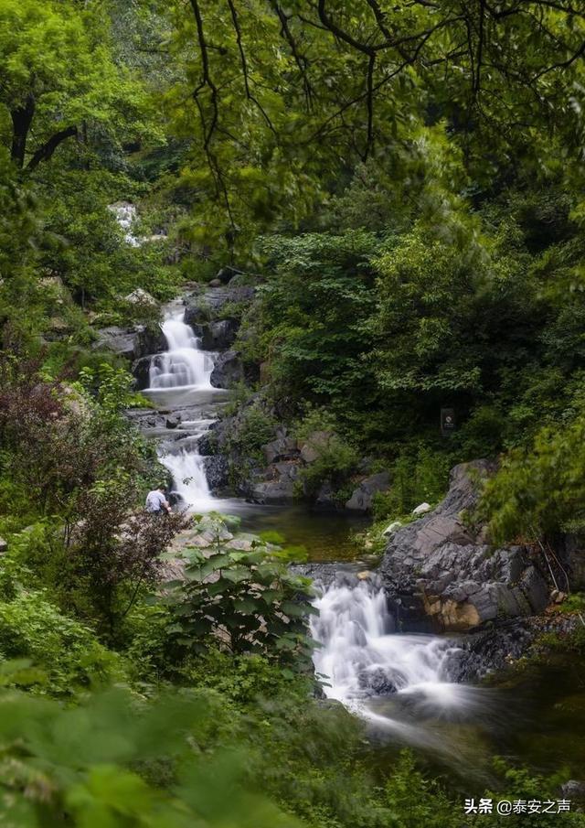 沪江开心词场